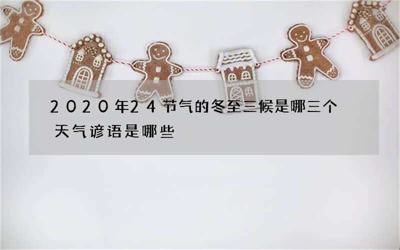 2020年24节气的冬至三候是哪三个 天气谚语是哪些